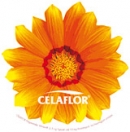 CELAFLOR Fliegenköder Blume 4 St. 2