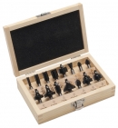 Bosch  15-teiliges HM-Fräser-Set (Ø 8 mm Schaft)