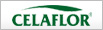 Celaflor Celaflor